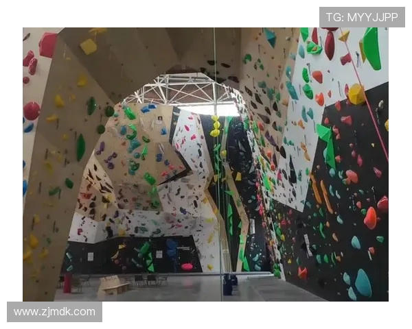 武汉攀岩队与南京攀岩队赛后战术分析与总结探讨 武汉攀岩队与南京攀岩队赛后战术分析与总结探讨