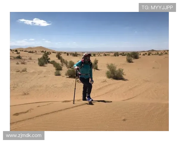 深度探讨吴芳在DOTA2世界中的成长与挑战之旅