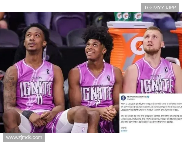 新秀及年轻球员崛起对球队未来发展的重要性与影响分析 新秀及年轻球员崛起对球队未来发展的重要性与影响分析