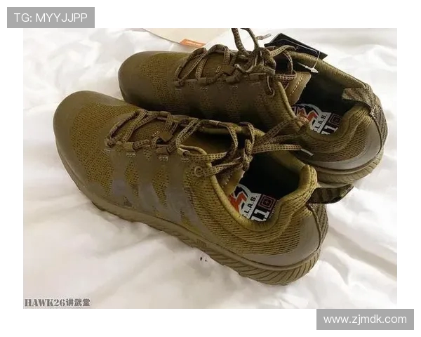 成都飞盘队的整体压制揭秘与战术分析深度探讨