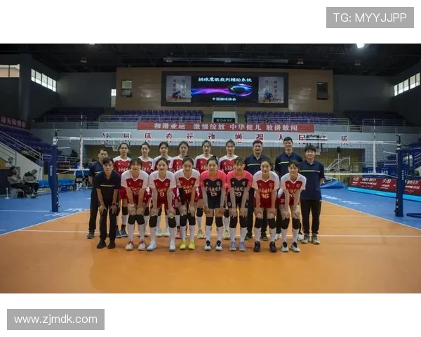 权威发布：2023年排球团队协作实力全面分析与排名揭晓